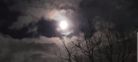 Night Sky 3